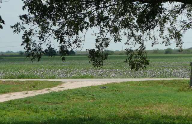 House Farmers Gallery 4