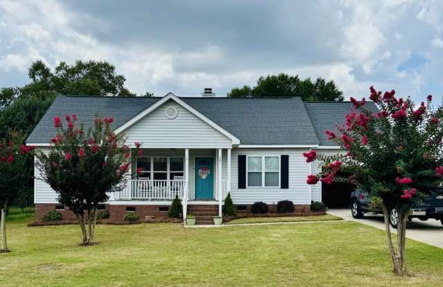 231 Autumnview Ct - 231 Autumnview Court, Lexington County, SC 29170