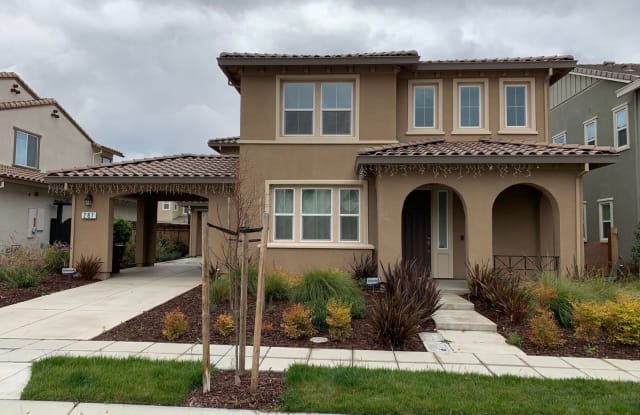 287 Vita Ave - 287 Vita Ave, Mountain House, CA 95391