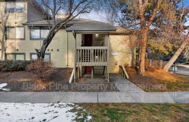 3675 Gekeler photos photos