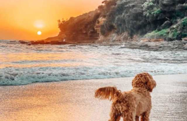 Beachwalk Lifestyle Starts Here! photos photos