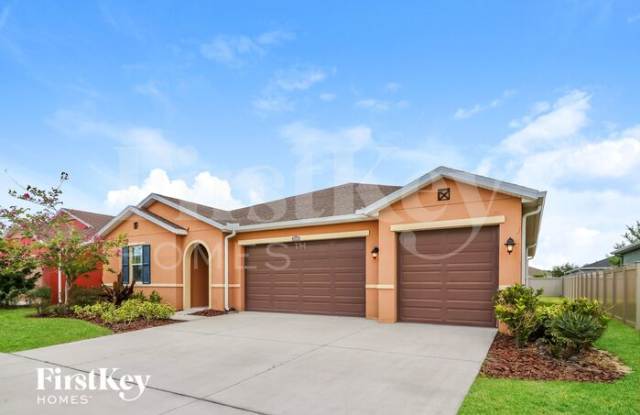 31543 Fairhill Drive - 31543 Fairhill Drive, Wesley Chapel, FL 33543