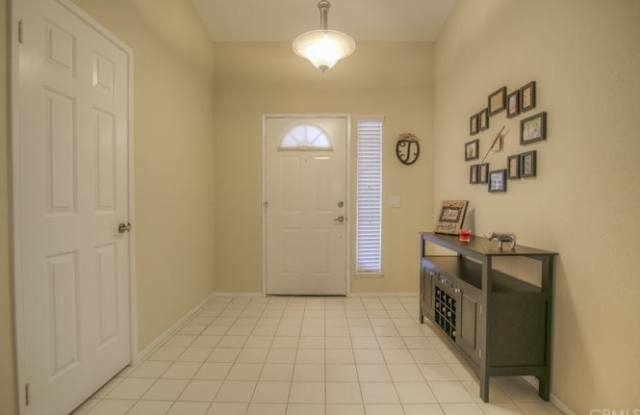 LARGE AND GORGEOUS! Gallery 4