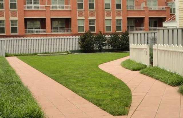 Modern 2 Story 2BR 2BA in Takoma Park, Courtyard, Pets Ok CbC - 343 Cedar Street Northwest, Washington, DC 20012