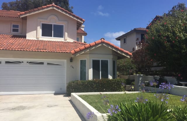 1746 Willowspring Drive N. - 1746 Willowspring Dr, Encinitas, CA 92024