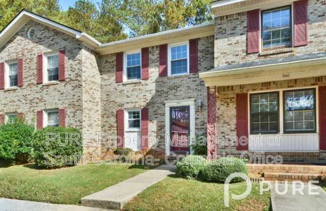 341 Rutledge Place - 341 Rutledge Place, Seven Oaks, SC 29212