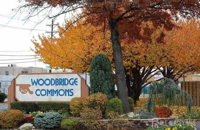 1202 Woodbridge Commons Way photos photos