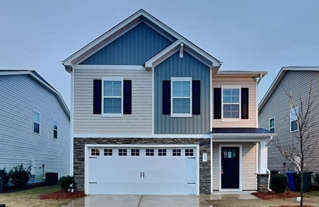 96 Salers Lane - 96 Salers Lane, Columbia, SC 29209
