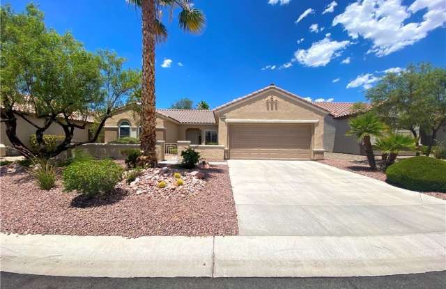 3022 Seaford Peak Drive photos photos