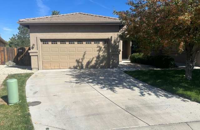 256 Cruden Bay Drive - 256 Cruden Bay Drive, Lyon County, NV 89403