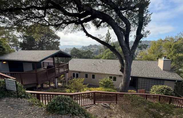 STUNNING THREE BEDROOM TWO BATH MODERNIST MILL VALLEY HOME photos photos