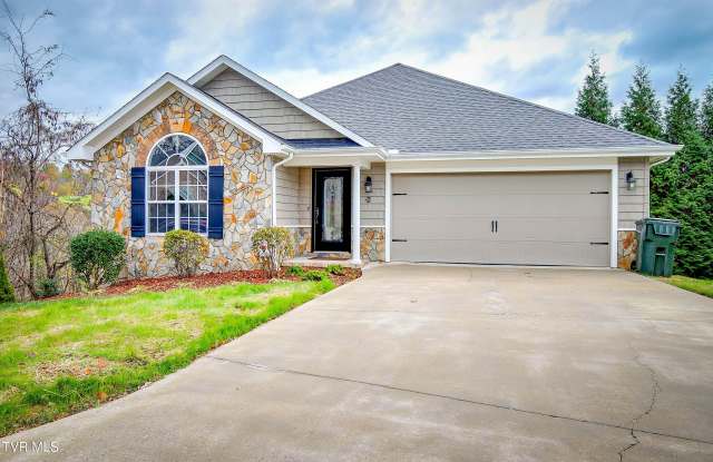 256 Bridgewater Court - 256 Bridgewater Court, Spurgeon, TN 37615
