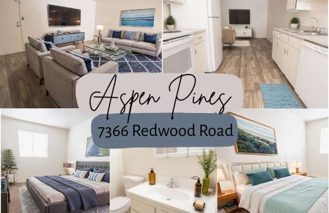 Aspen Pines photos photos