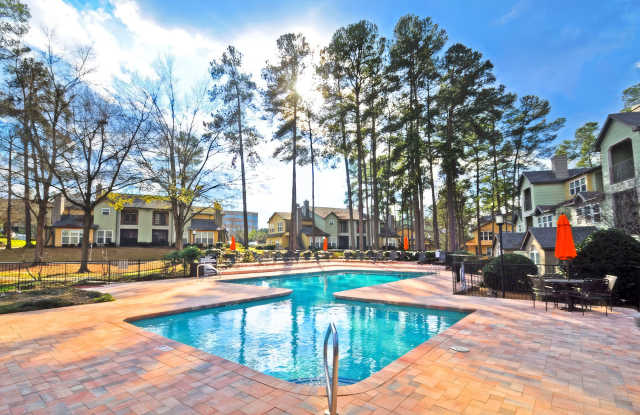 The Lory of Perimeter photos photos The Lory of Perimeter photos photos