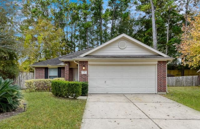 3 Thicket Grove Place - 3 Thicket Grove Pl, The Woodlands, TX 77385