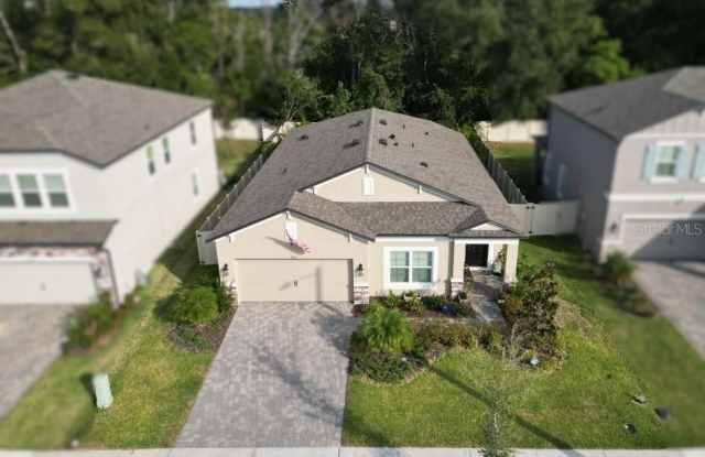 11996 HILLTOP FARMS DRIVE - 11996 Hilltop Farms Drive, Pasco County, FL 33525