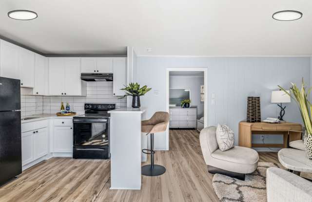 Newly Remodeled 1 Bedroom Apartment Gallery 3