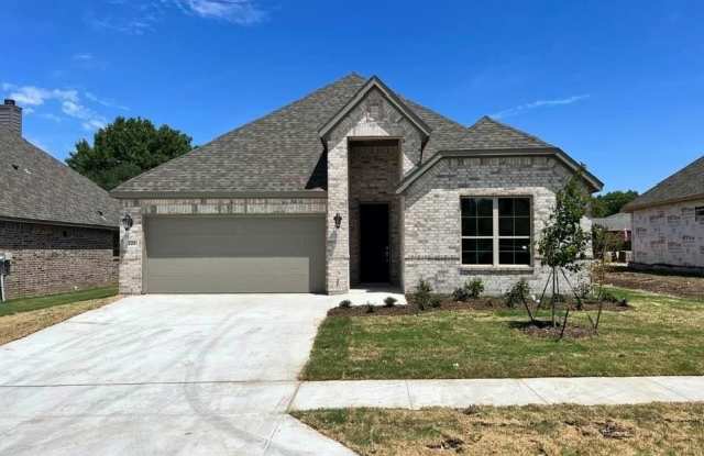 221 Windy Glen Drive - 221 Windy Glen Drive, Decatur, TX 76234