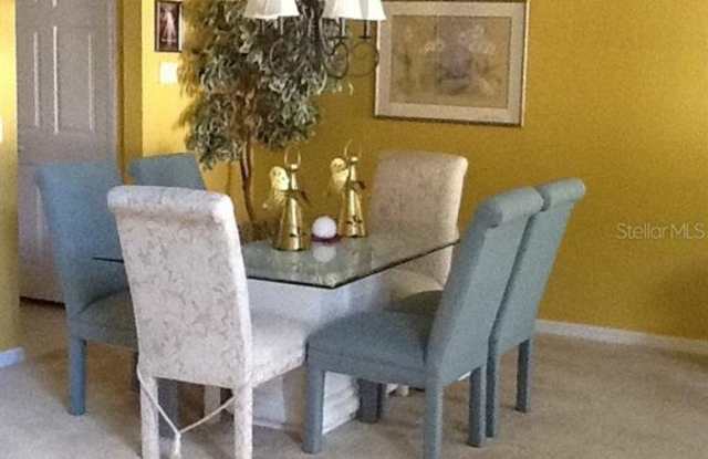 719 VALRICO HILLS LANE Gallery 2