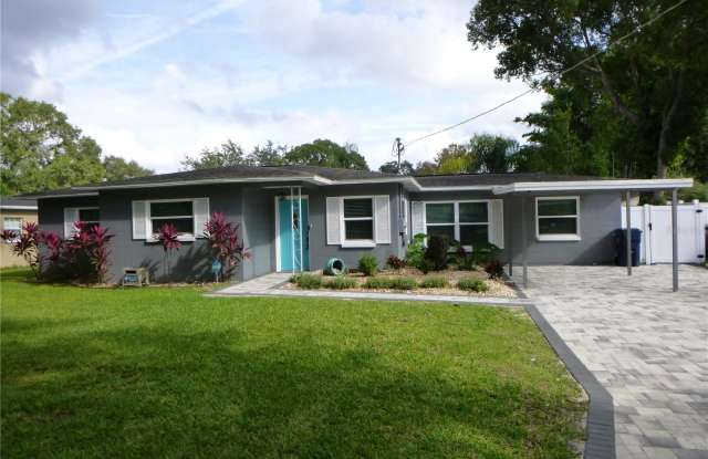 10917 N NEWPORT AVENUE - 10917 North Newport Avenue, Tampa, FL 33612