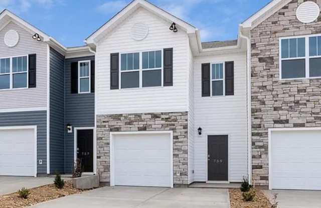 759 Embark Circle - 759 Embark Circle, Spartanburg County, SC 29651