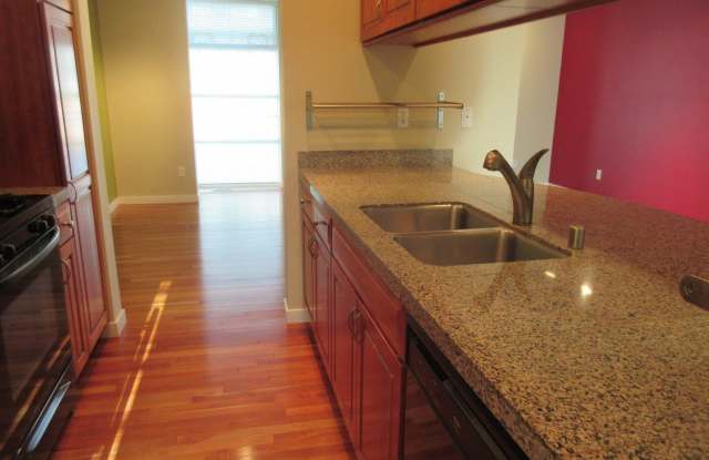 Downtown Condo Gallery 3