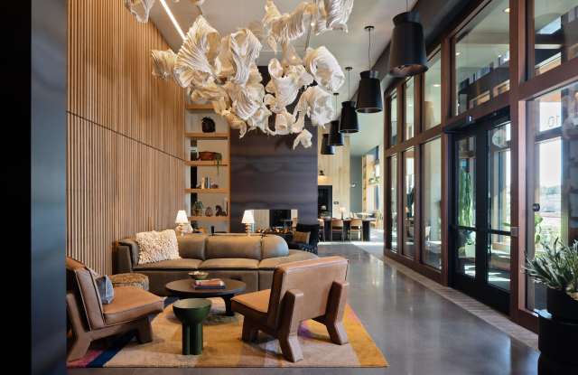 Jackstraw photos photos