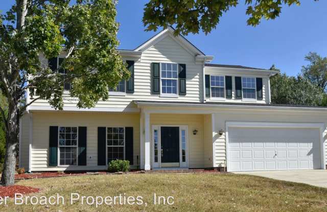 8929 Magennis Grove Ct - 8929 Magennis Grove Court, Charlotte, NC 28216