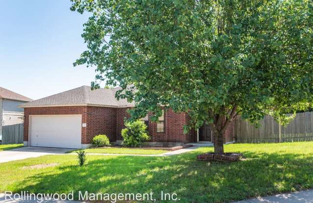 507 Evening Grosbeak Drive - 507 Evening Grosbeak Drive, Pflugerville, TX 78660