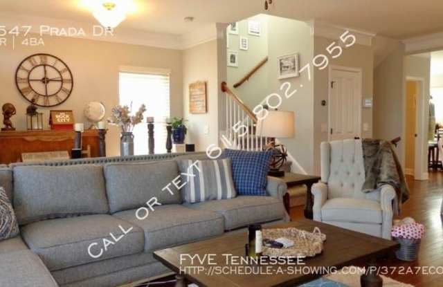 5547 Prada Dr Gallery 4