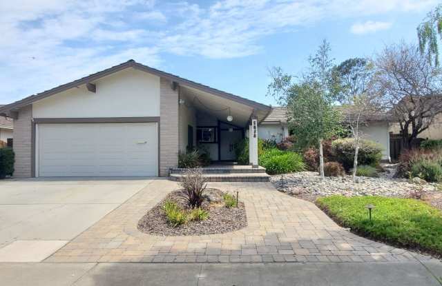 Spacious Single Family Home, A/C, Remodeled Kitchen, Fresh Paint, W/D, Beautiful Backyard! photos photos