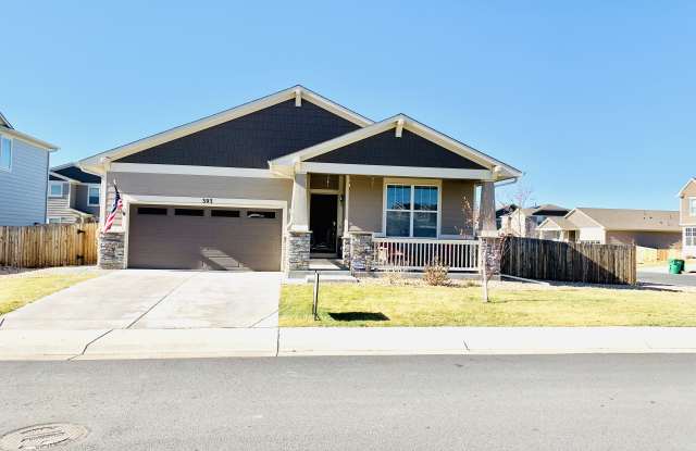 393 Cade St - 393 Cade Street, Brighton, CO 80601