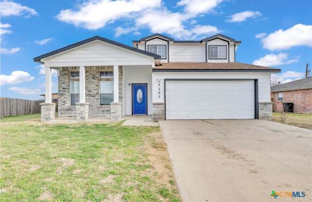 4205 Thunder Creek Drive photos photos