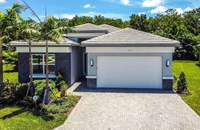 11417 Jacaranda photos photos