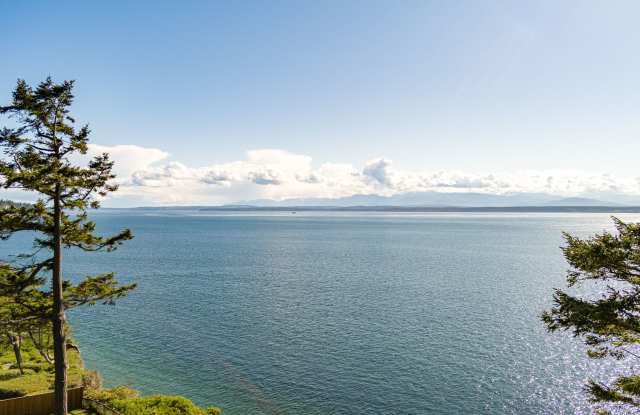 Gorgeous West facing View Home in Coupeville with Acreage and Privacy! photos photos Gorgeous West facing View Home in Coupeville with Acreage and Privacy! photos photos