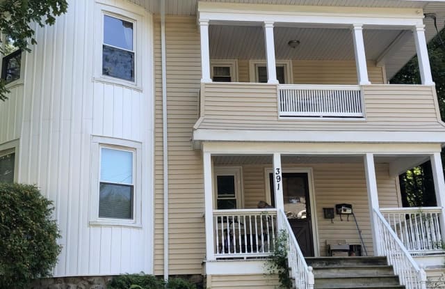 391 Linwood Street - 391 Linwood Avenue, Newton, MA 02460