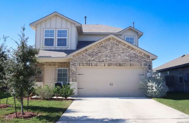 15535 cardamom photos photos