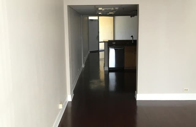 151 E Washington St, #316 Gallery 4