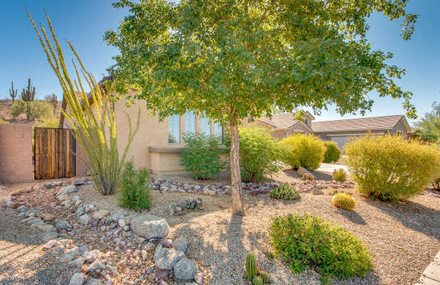 31015 N ORANGE BLOSSOM Circle Gallery 3
