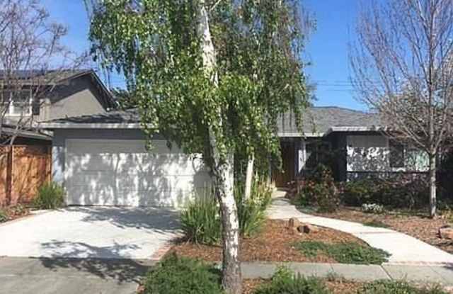 524 S Park Dr, San Jose, CA 95129 Gallery 3