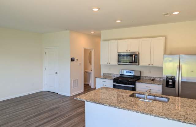 Modern Kitchen • Walk-In Closet • Private Primary Suite Gallery 4