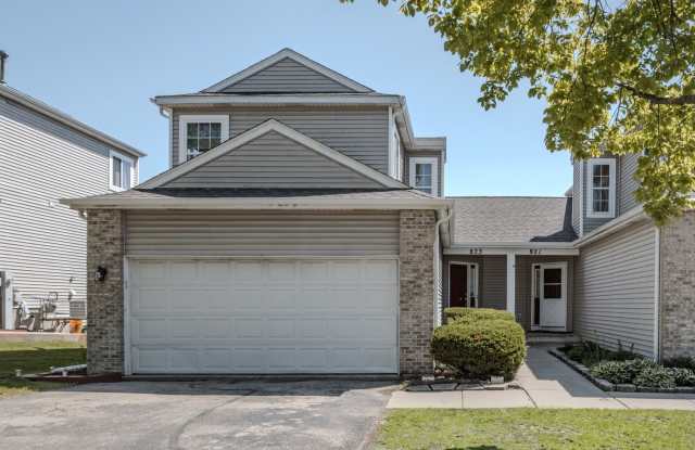 823 Park Bluff Circle - 823 Park Bluff Circle, Elgin, IL 60120