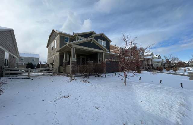 Fantastic Newer Home in South Fort Collins Gallery 4