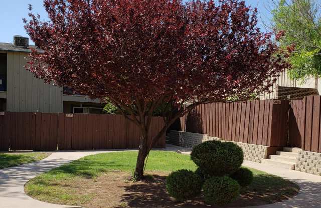 1012 Limestone Avenue - 1012 - 1012 Limestone Ave, Odessa, TX 79761