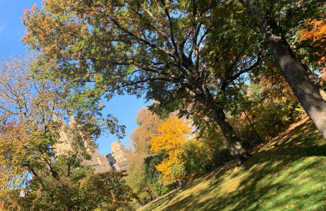 309 West 97th Street - 309 West 97th Street, New York City, NY 10025 309 West 97th Street - 309 West 97th Street, New York City, NY 10025