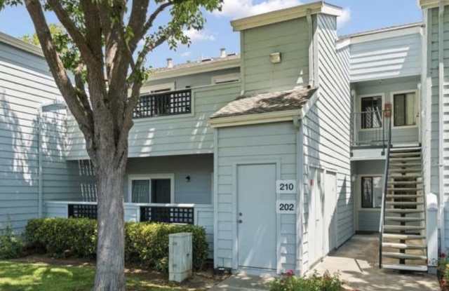 1201 Glen Cove Pkwy Apt 202 Gallery 1