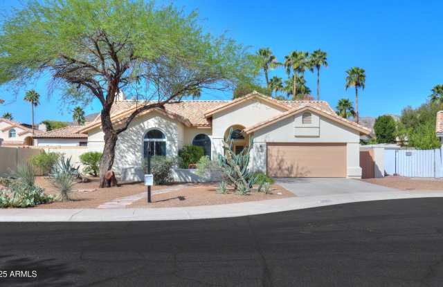 13246 S 34TH Way photos photos