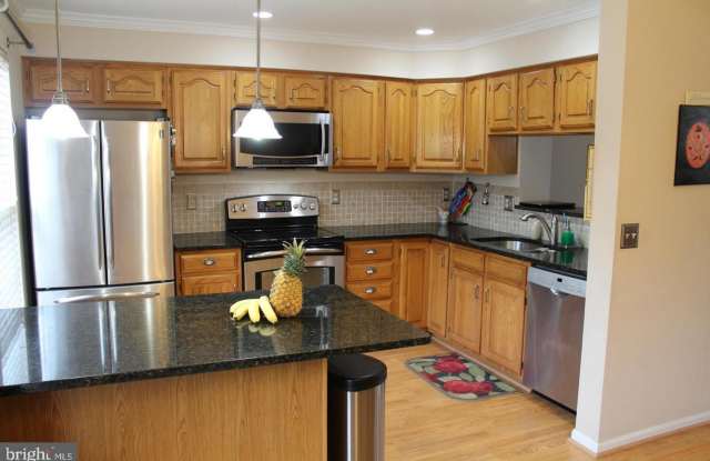43956 MINTHILL TERRACE Gallery 3