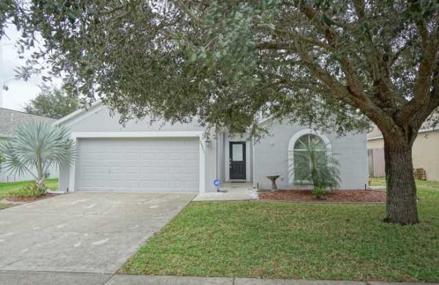24445 Karnali Court - 24445 Karnali Court, Land O' Lakes, FL 33559