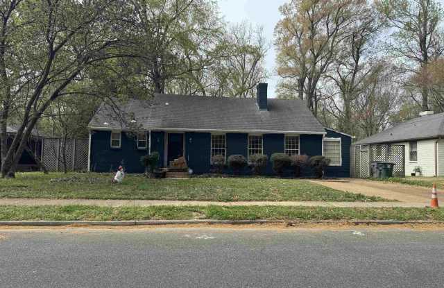 115 MARY ANN photos photos